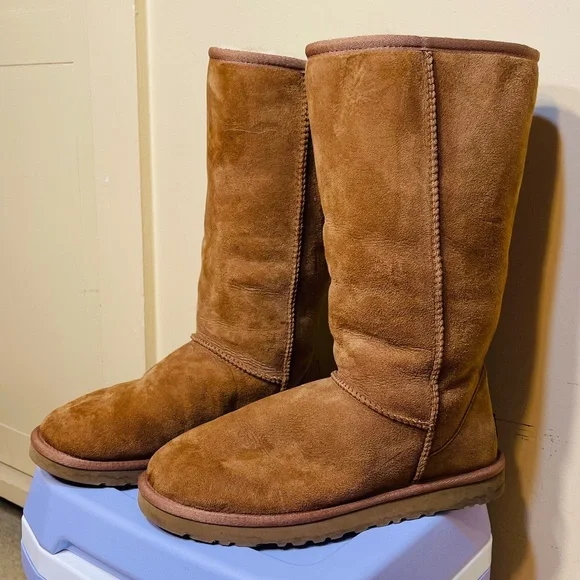 UGG Tan Suede Tall Boots - Picture 2 of 9